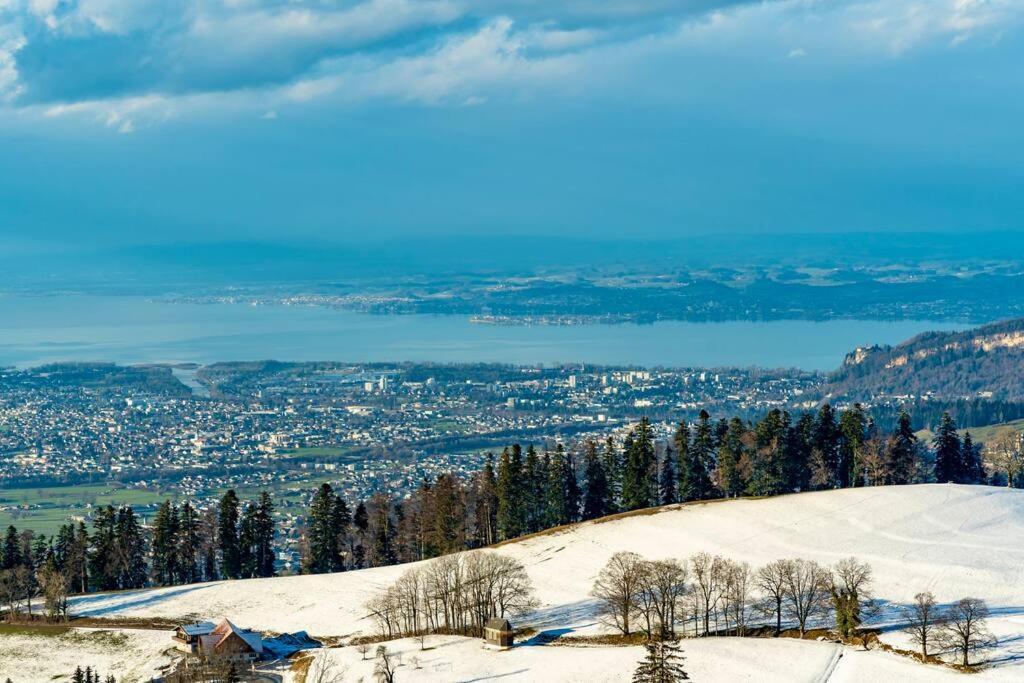 Seeparkvilla - Wohlfuehlen Am See Und Im Gruenen بريجنتس المظهر الخارجي الصورة